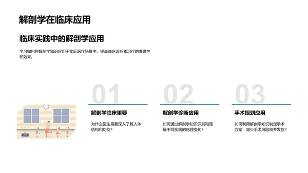 解剖学教学深度解析PPT模板