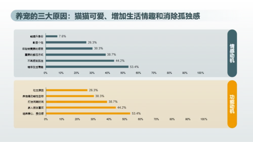 2023年喵经济洞察研究报告