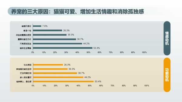 2023年喵经济洞察研究报告