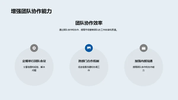 市场营销策略与成效