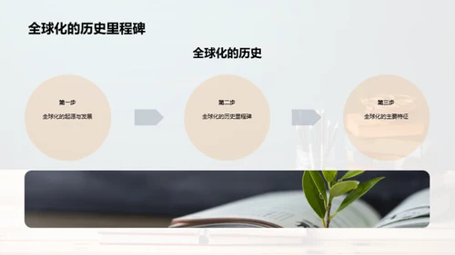 全球化视野解读