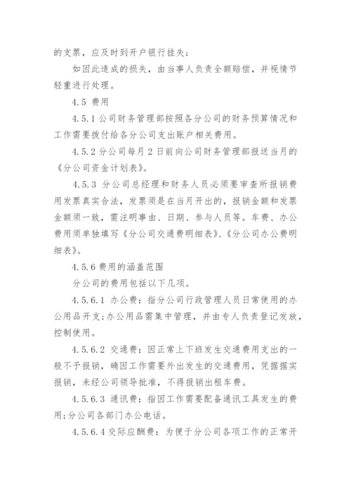 子公司财务管理规定.docx