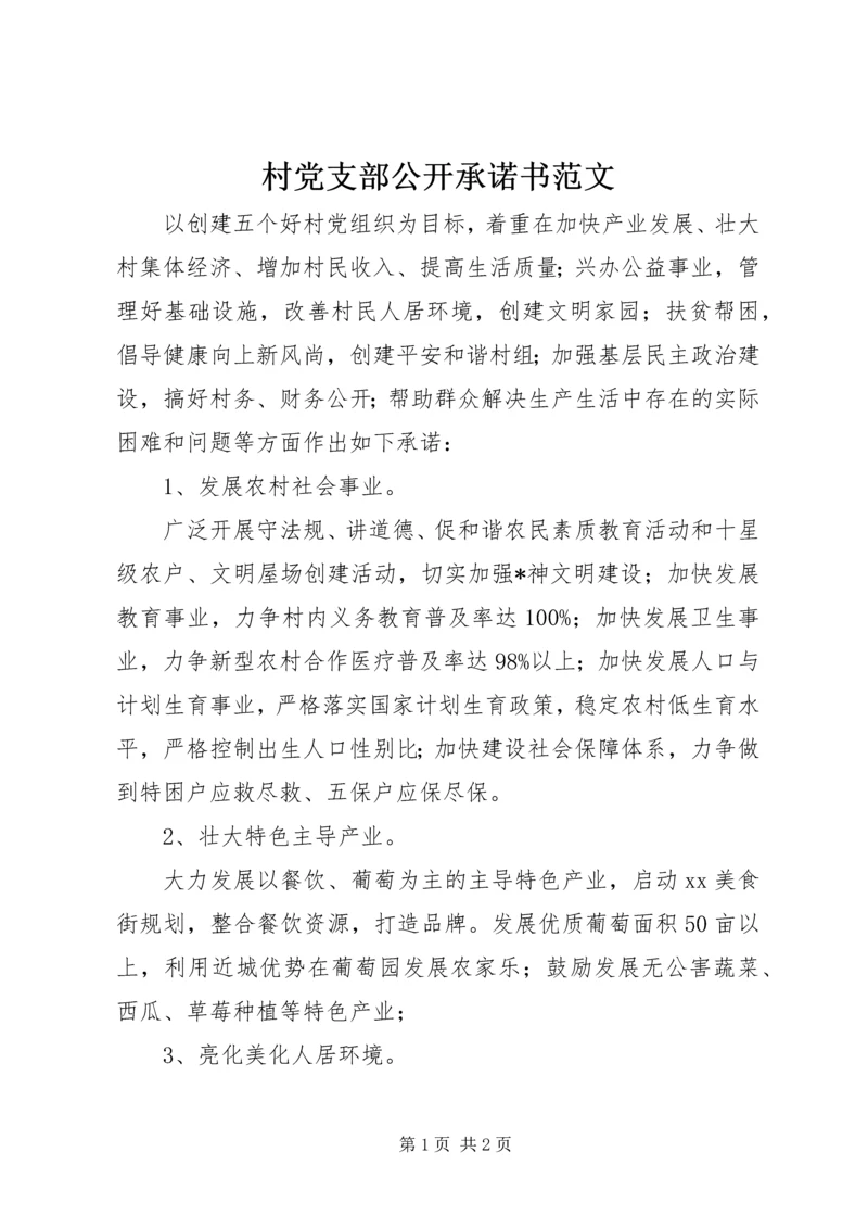 村党支部公开承诺书范文.docx