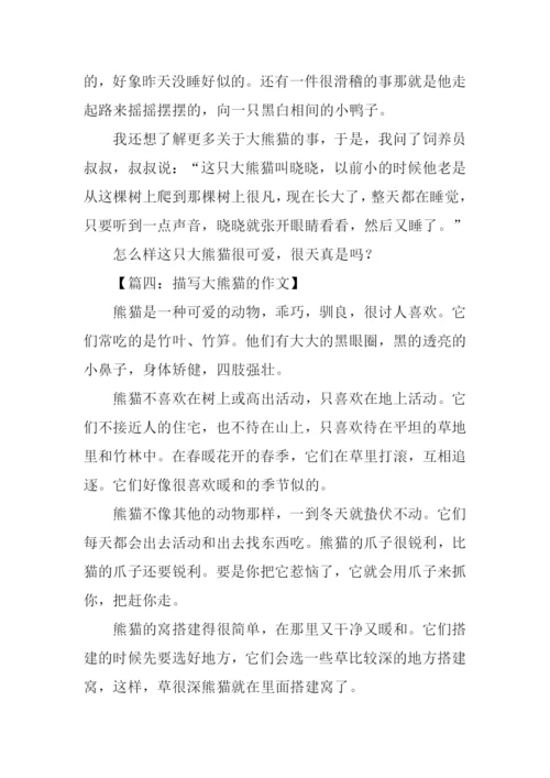 描写大熊猫的作文.docx