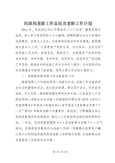 民政局老龄工作总结及老龄工作计划.docx