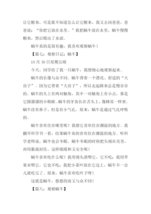 关于观察蜗牛的作文.docx