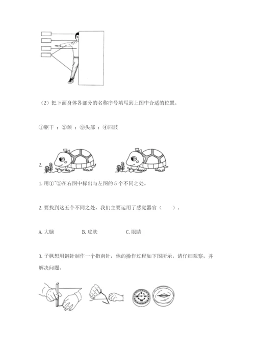 教科版二年级下册科学期末测试卷附完整答案【精选题】.docx