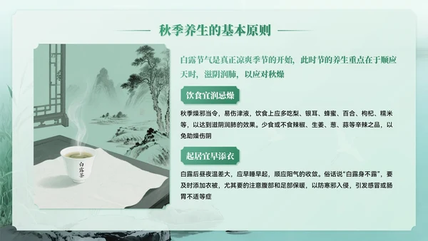 绿色系中国风白露节气介绍PPT模板