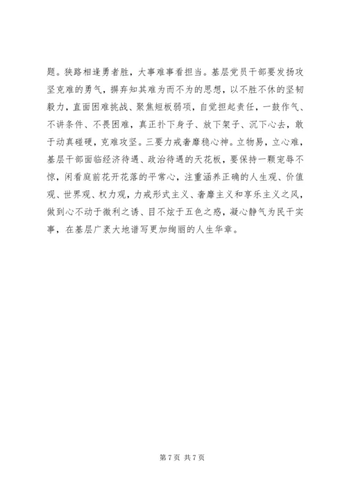 基层党员不忘初心牢记使命主题教育心得体会两篇.docx