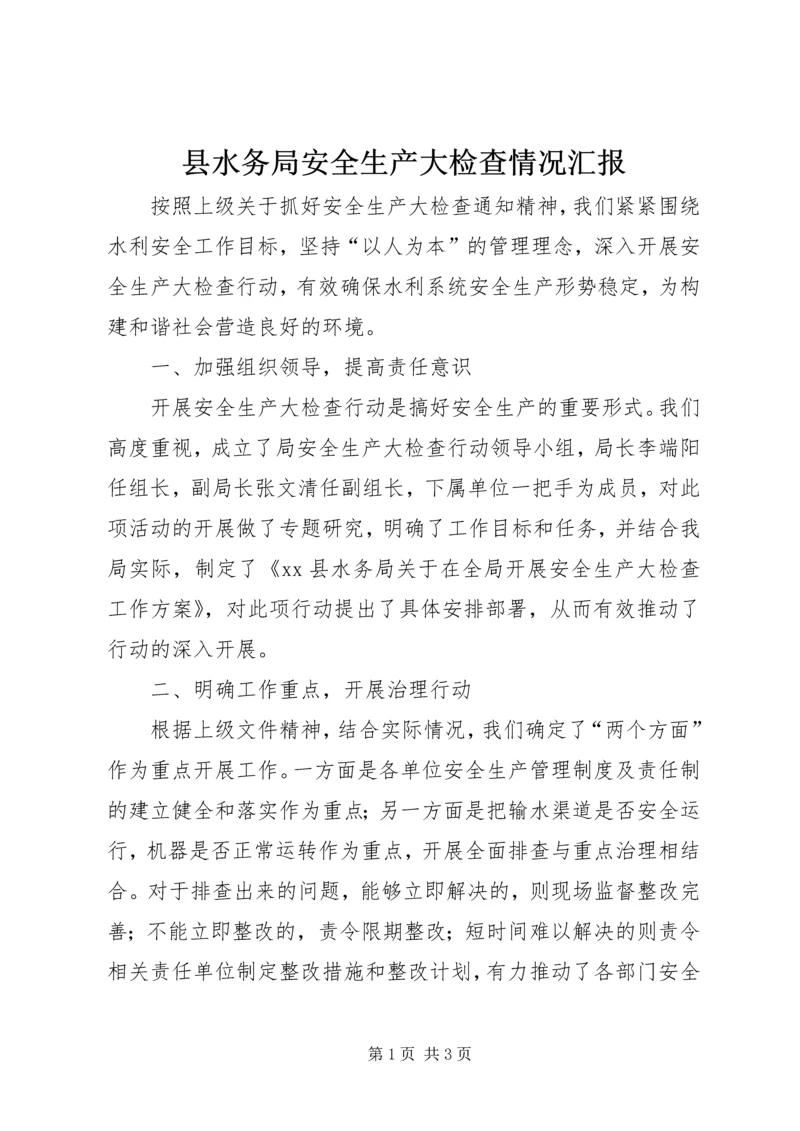 县水务局安全生产大检查情况汇报.docx