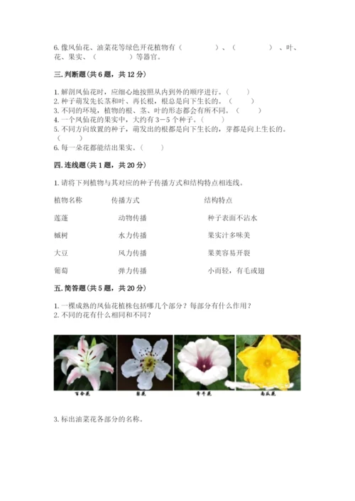 教科版四年级下册科学第一单元《植物的生长变化》测试卷（精华版）.docx