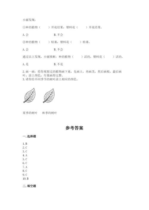 教科版一年级上册科学期末测试卷（中心小学）.docx