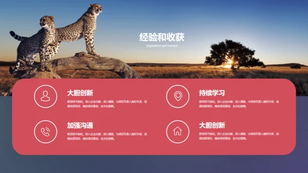工作汇报商业方案报告通用PPT模板