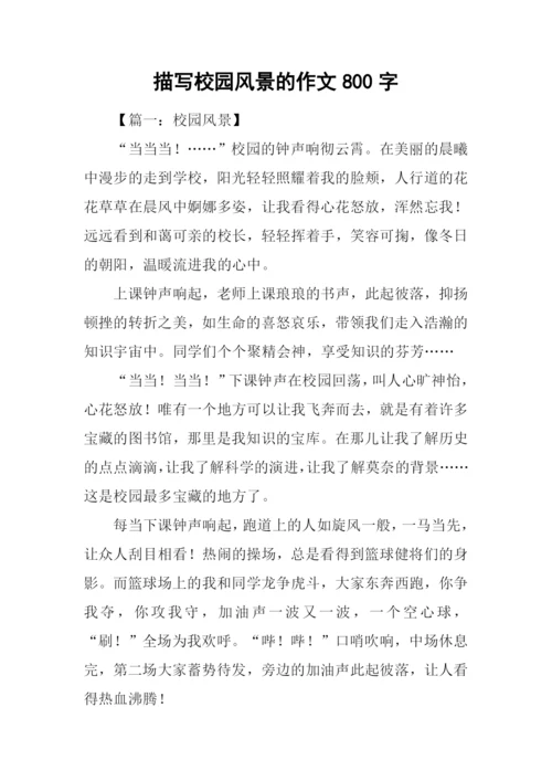 描写校园风景的作文800字.docx
