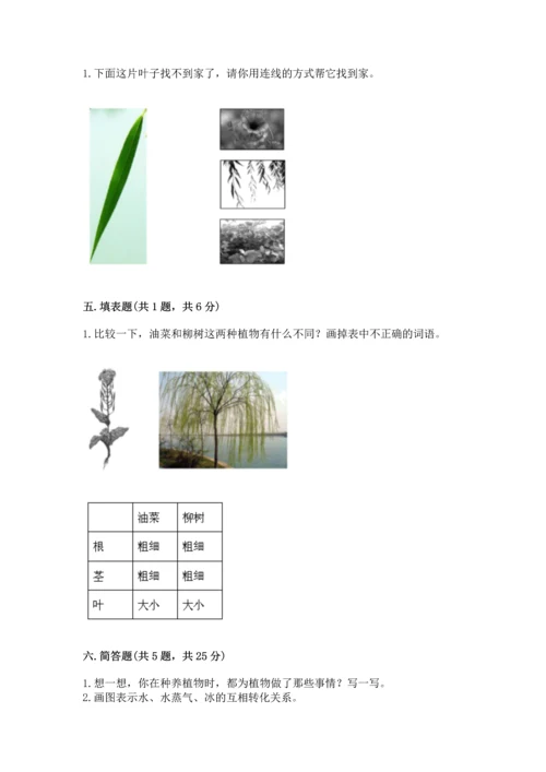 教科版一年级上册科学期末测试卷（精选题）.docx