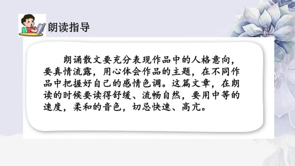 《1 白鹭》课件
