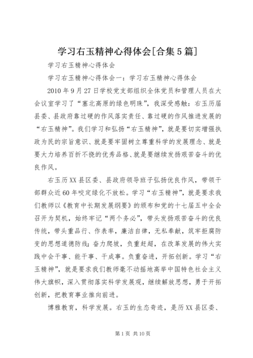 学习右玉精神心得体会[合集5篇] (2).docx