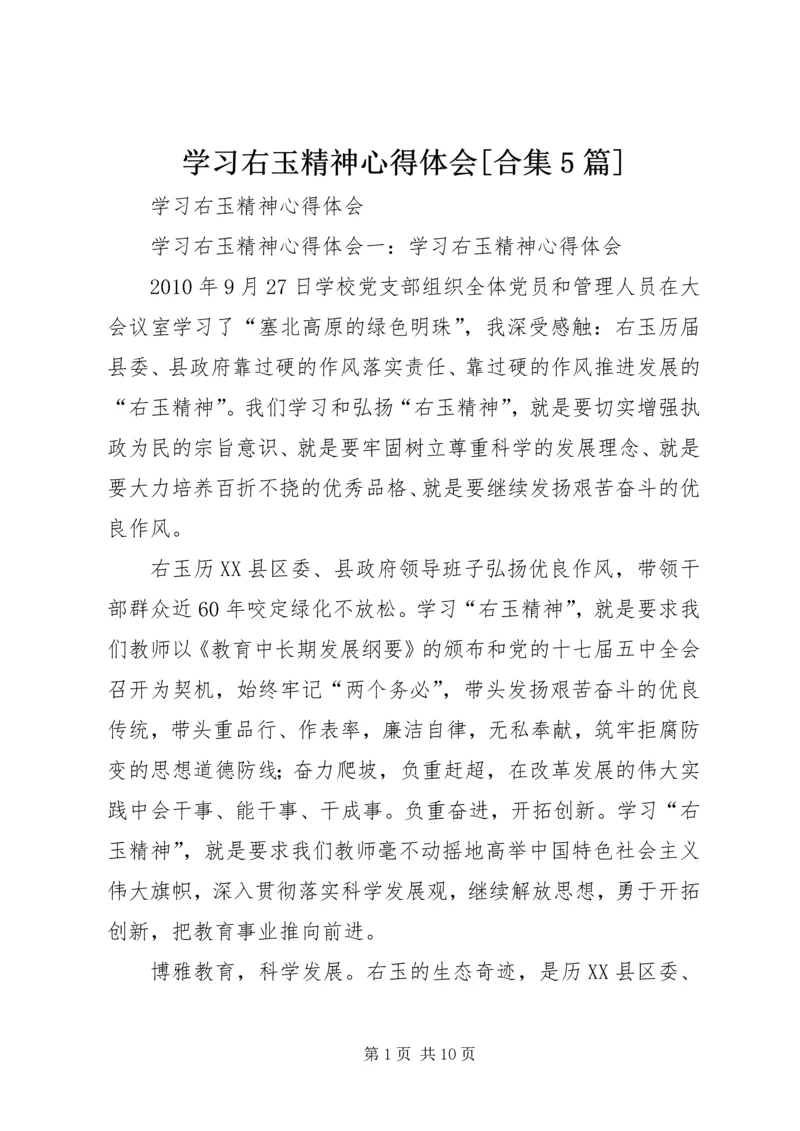 学习右玉精神心得体会[合集5篇] (2).docx