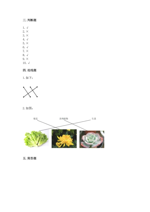 教科版一年级上册科学期末测试卷附精品答案.docx