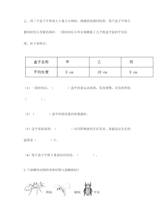 教科版小学科学三年级下册 期末测试卷【学生专用】.docx