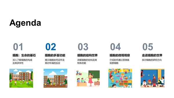 初中生物细胞学报告PPT模板