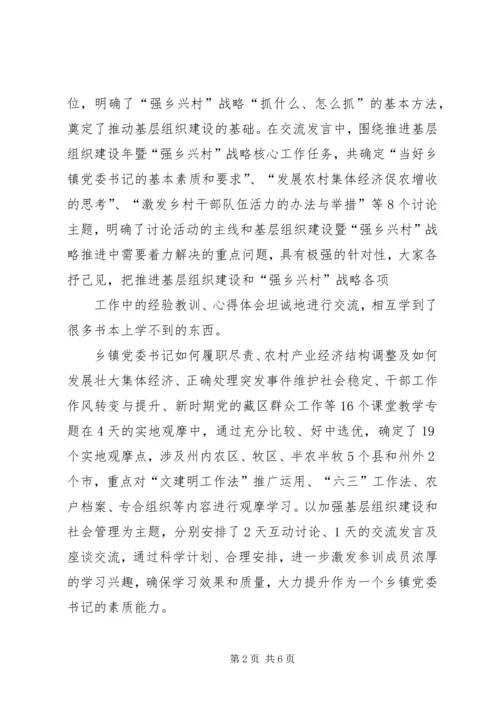 实施“强乡兴村战略”,强乡兴村培训心得.docx