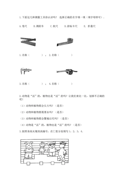 教科版一年级上册科学期末测试卷含完整答案【全国通用】.docx