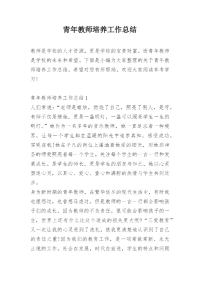 青年教师培养工作总结.docx