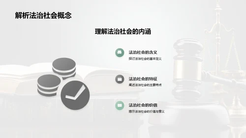 法治社会深度解析