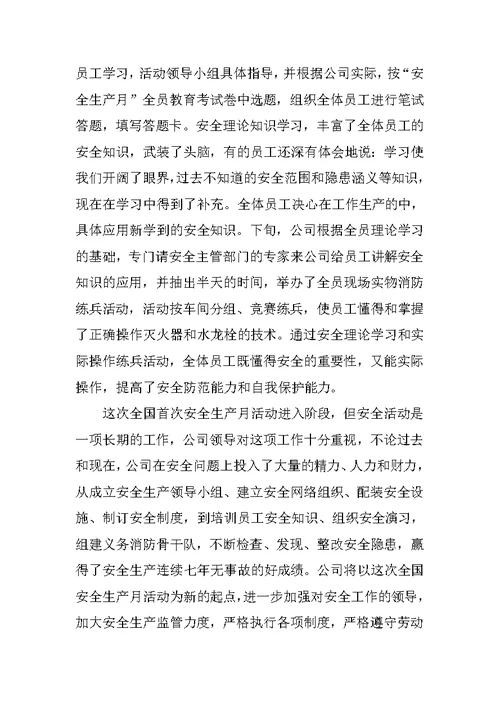XX企业安全生产工作总结