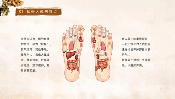 棕色简约中国风实拍笔刷秋季养生中医养生动态PPT