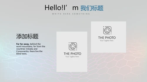 公安科技网络信息软件科技商务动态PPT