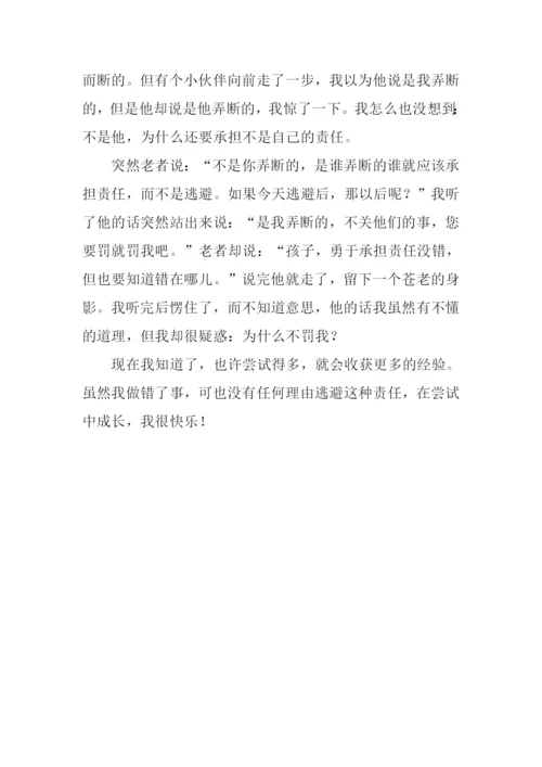 在成长中我学会承担作文800字.docx