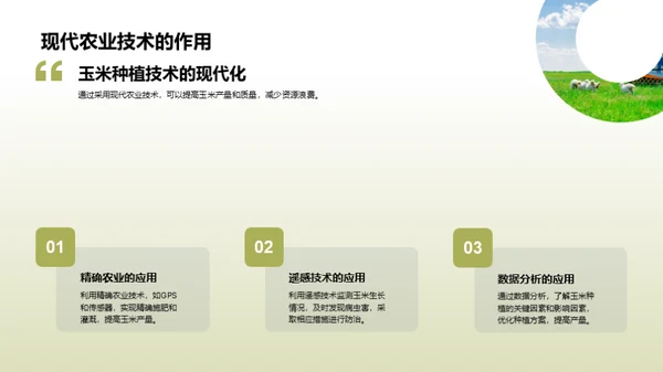 玉米高效种植新纪元