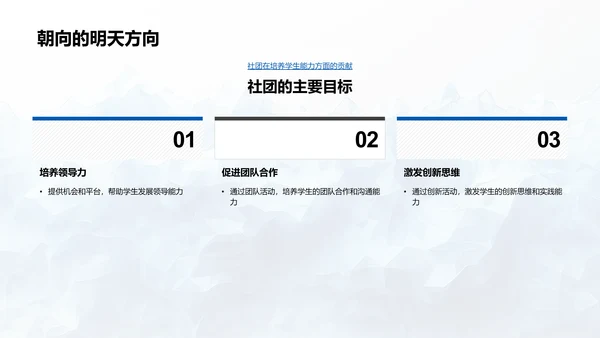 社团活动成果报告