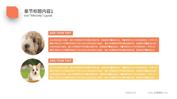 宠物乐园萌宠小狗主题通用PPT模板