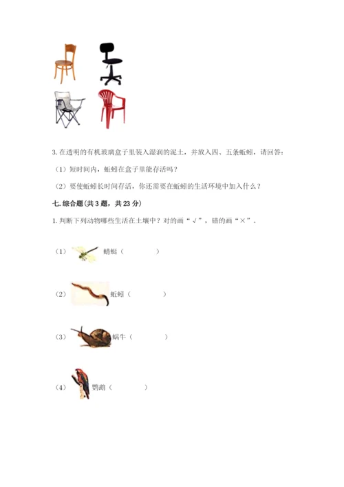 教科版小学二年级上册科学期末测试卷及1套参考答案.docx