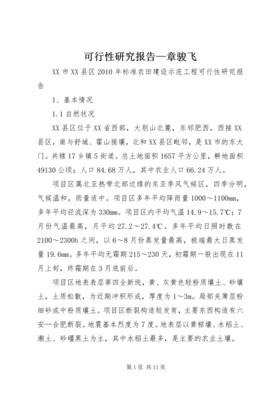 可行性研究报告—章骏飞.docx