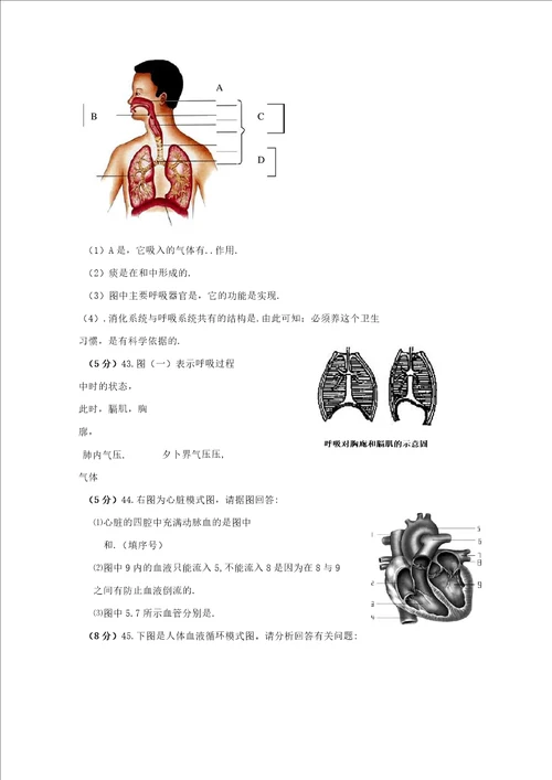 完整版济南版20182019七年级下册生物期中试题附答案