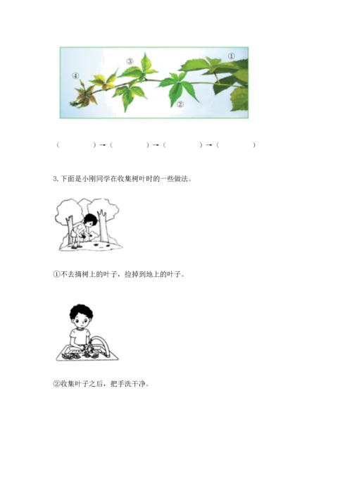 教科版一年级上册科学期末测试卷及参考答案【培优a卷】.docx