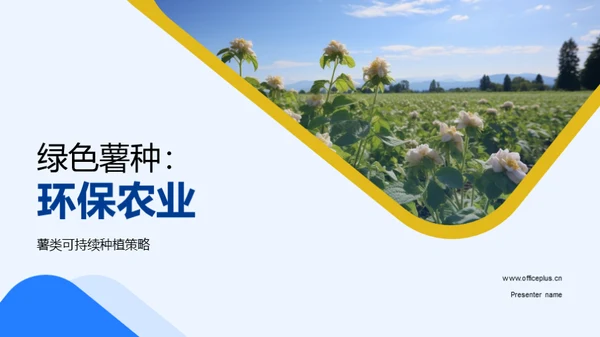 绿色薯种：环保农业