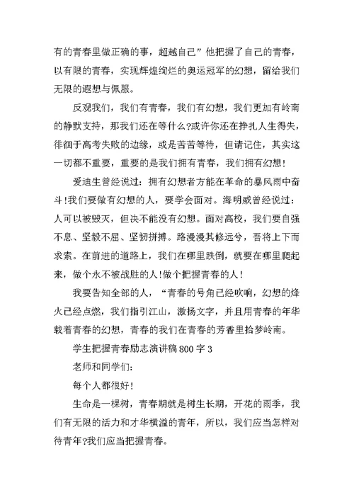学生把握青春励志演讲稿800字