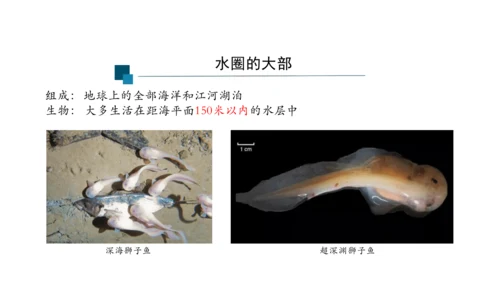 1.2.3 生物圈是最大的生态系统 课件（共28张PPT）