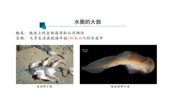 1.2.3 生物圈是最大的生态系统 课件（共28张PPT）