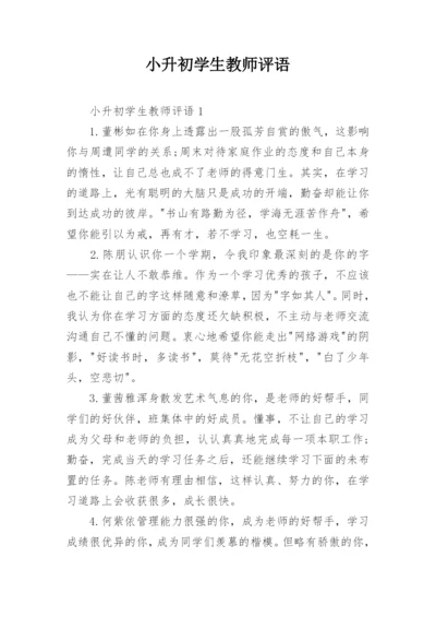 小升初学生教师评语.docx