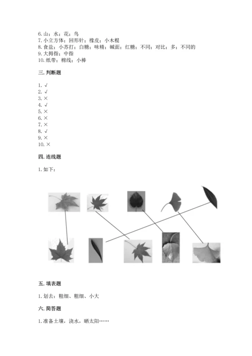 教科版科学一年级上册期末测试卷【新题速递】.docx