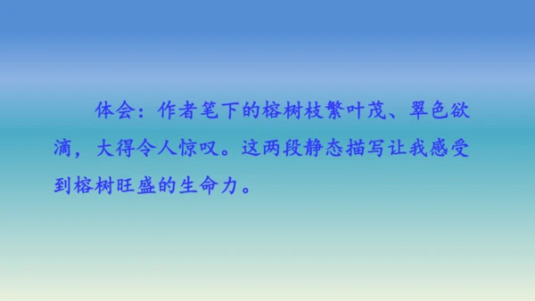 【同步课件】部编版语文五年级上册 语文园地七 课件（2课时）