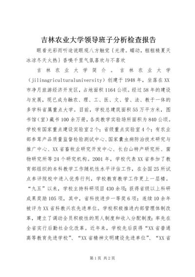 吉林农业大学领导班子分析检查报告 (2).docx