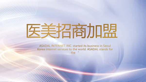 医美招商加盟工作总结动态PPT