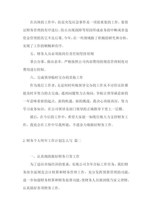财务个人明年工作计划怎么写.docx